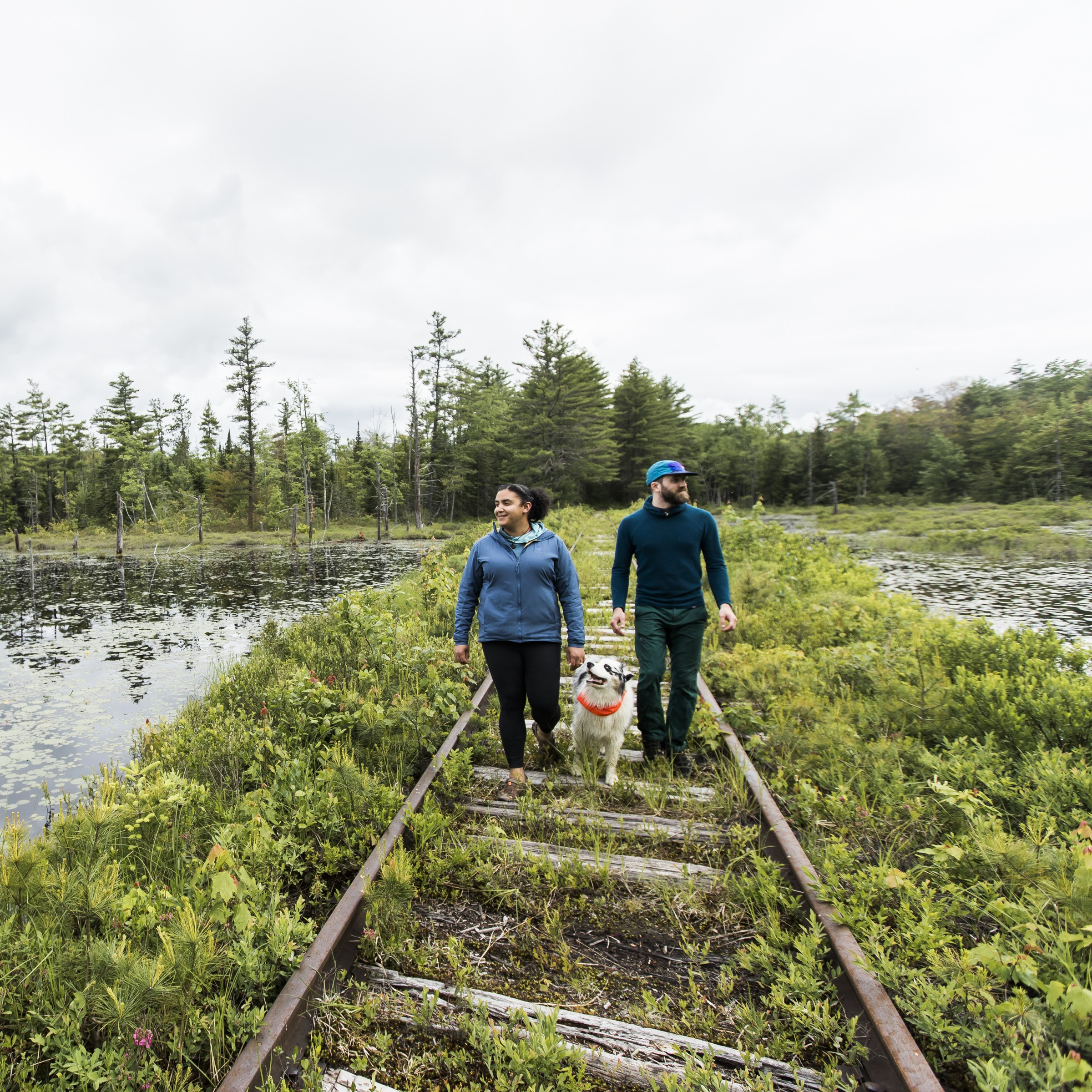 sqr png Chain of Ponds Community Forest.png